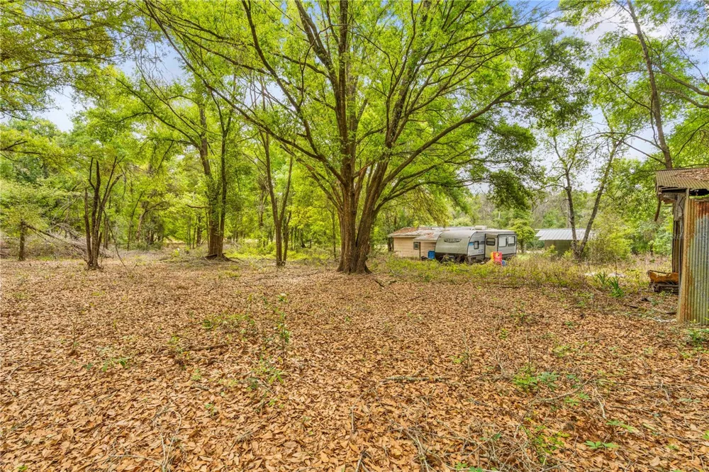 11340 BESSIE DIX ROAD Seffner, FL 33584