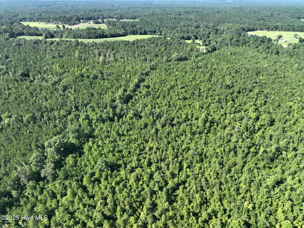 Lot B Carthage Road West End, NC 27376