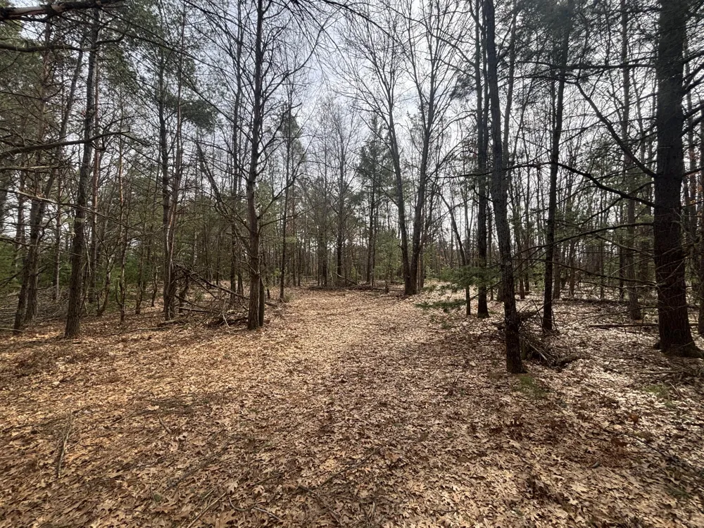 8 Centerline Road White Cloud, MI 49349