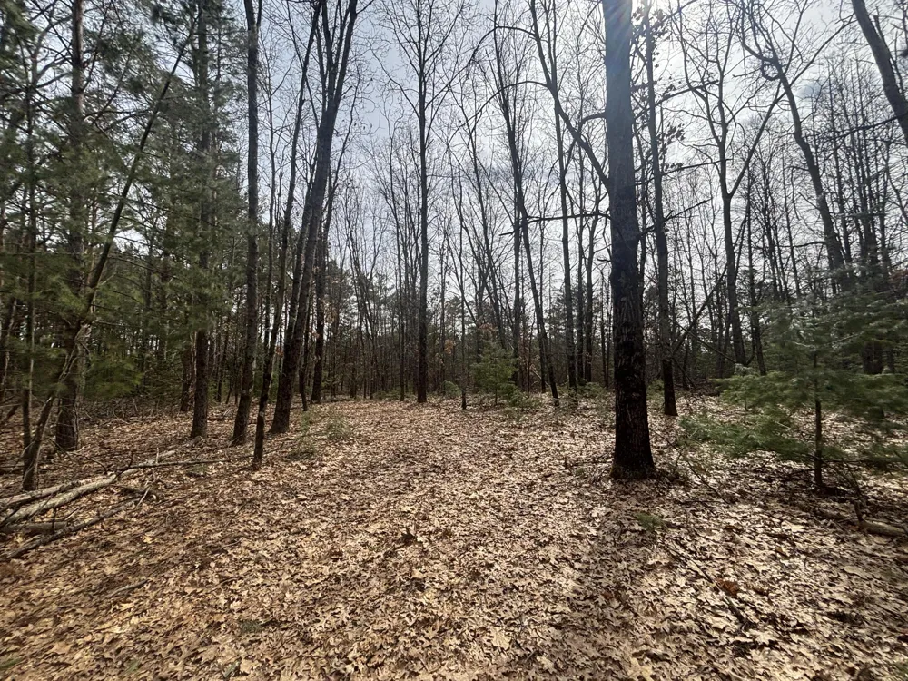 8 Centerline Road White Cloud, MI 49349