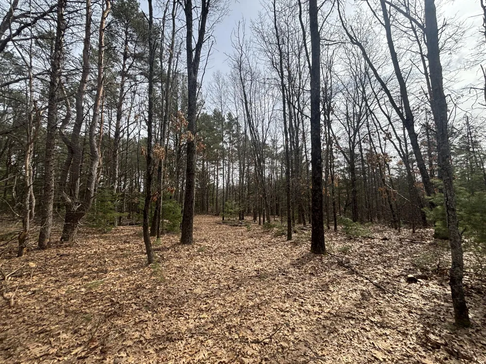 8 Centerline Road White Cloud, MI 49349