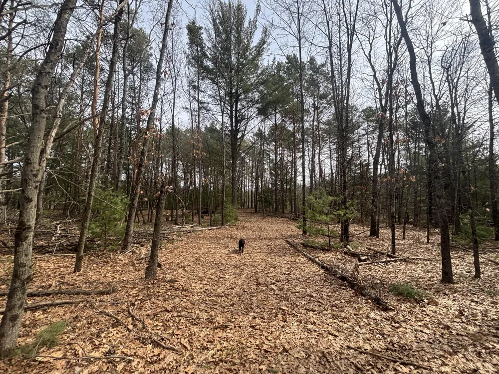 8 Centerline Road White Cloud, MI 49349