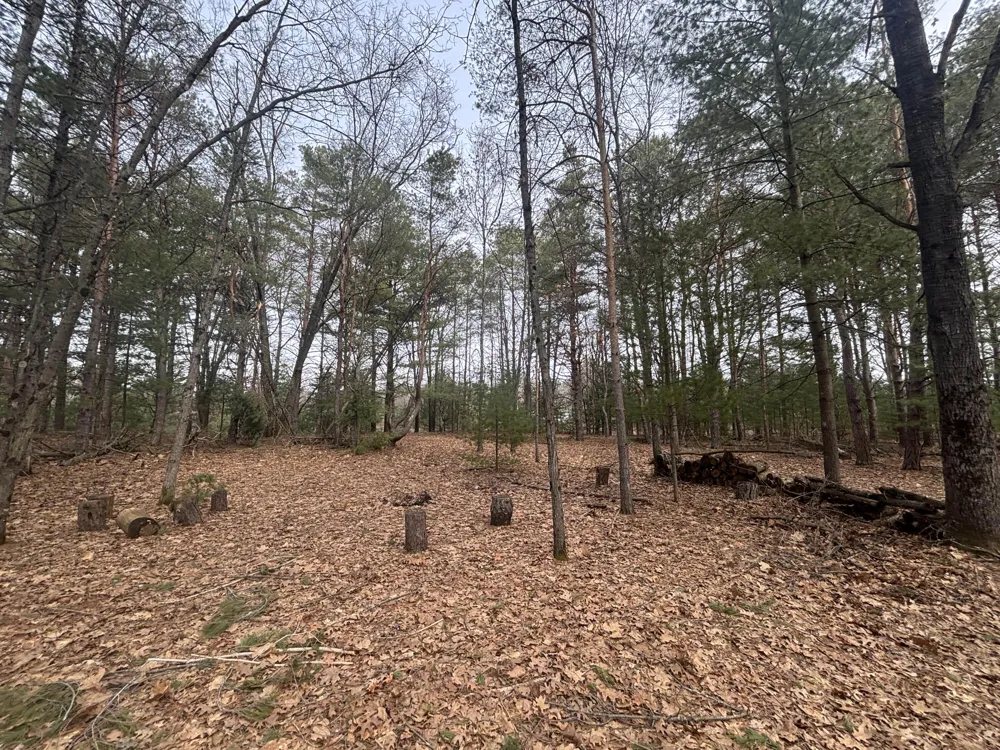 8 Centerline Road White Cloud, MI 49349