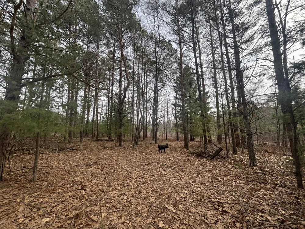 8 Centerline Road White Cloud, MI 49349