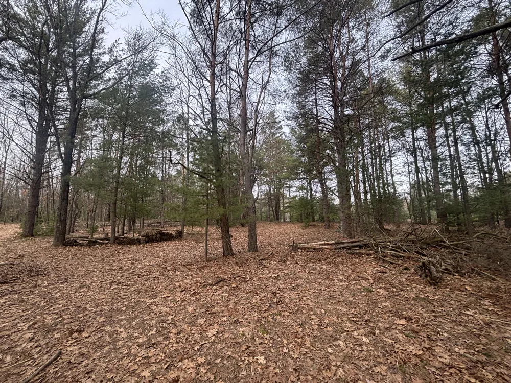 8 Centerline Road White Cloud, MI 49349