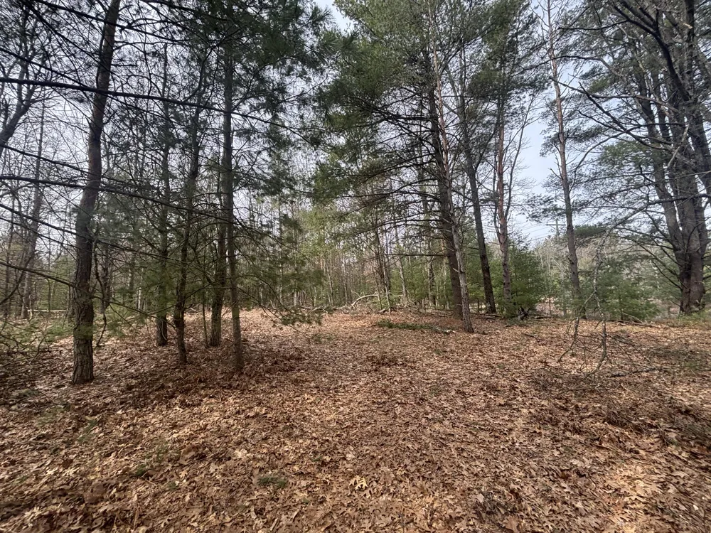 8 Centerline Road White Cloud, MI 49349
