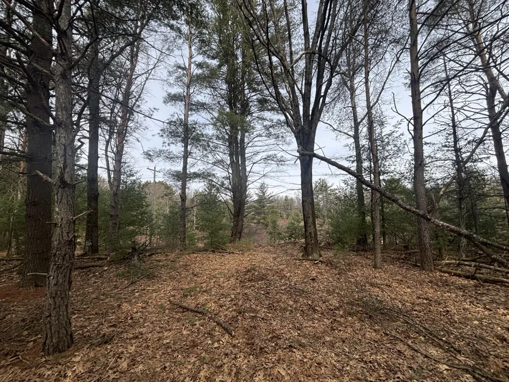 8 Centerline Road White Cloud, MI 49349