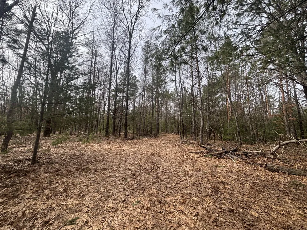 8 Centerline Road White Cloud, MI 49349