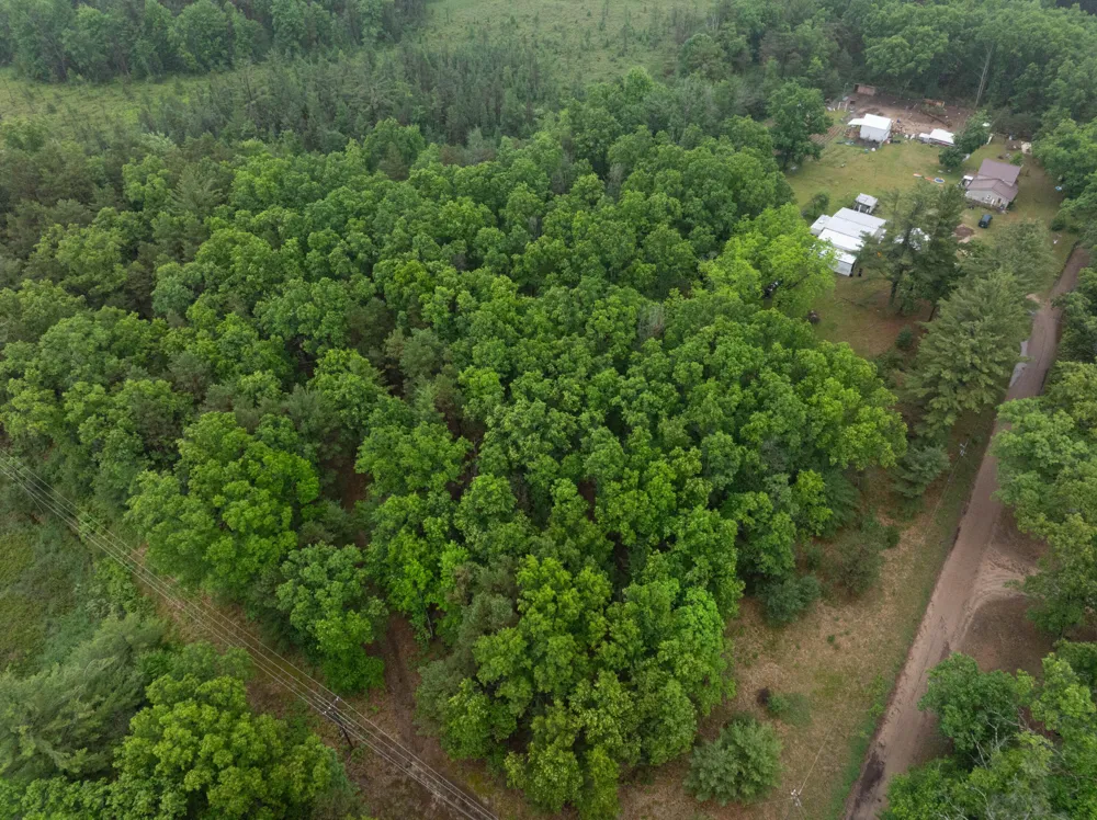 8 Centerline Road White Cloud, MI 49349