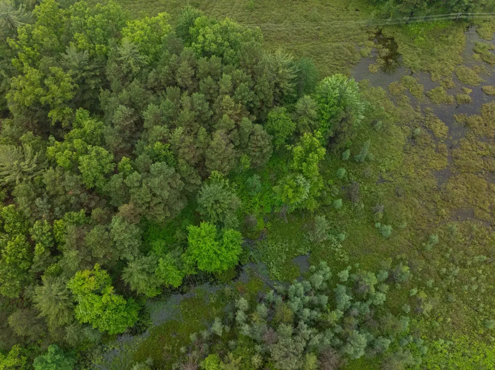8 Centerline Road White Cloud, MI 49349