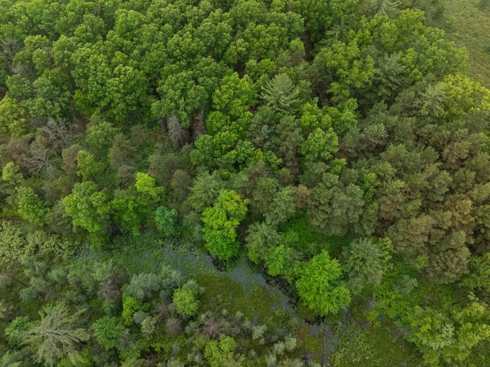 8 Centerline Road White Cloud, MI 49349