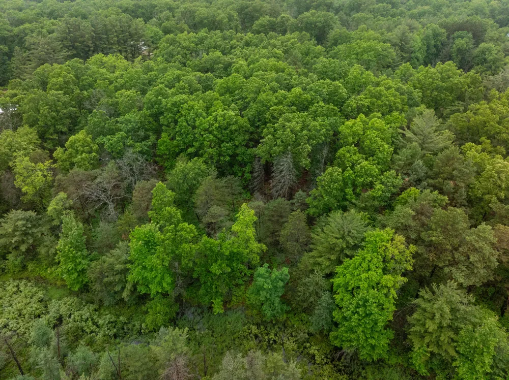 8 Centerline Road White Cloud, MI 49349