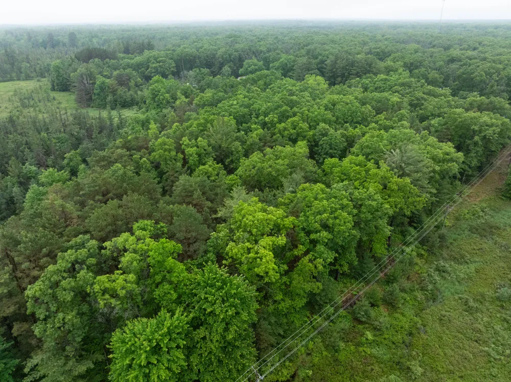 8 Centerline Road White Cloud, MI 49349