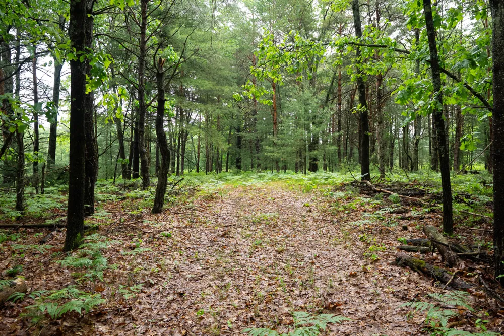 8 Centerline Road White Cloud, MI 49349