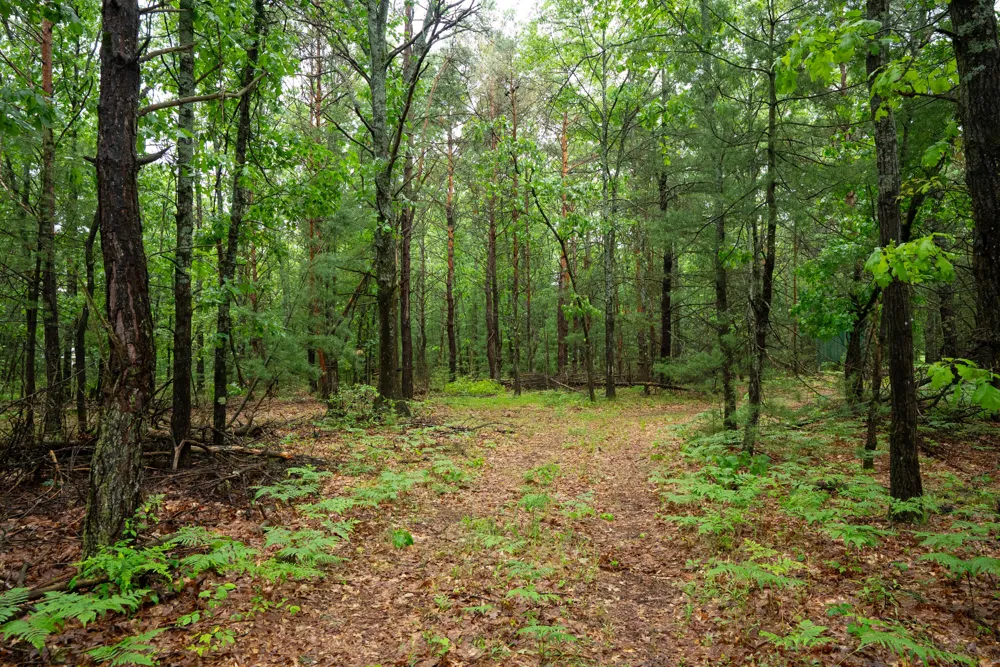 8 Centerline Road White Cloud, MI 49349