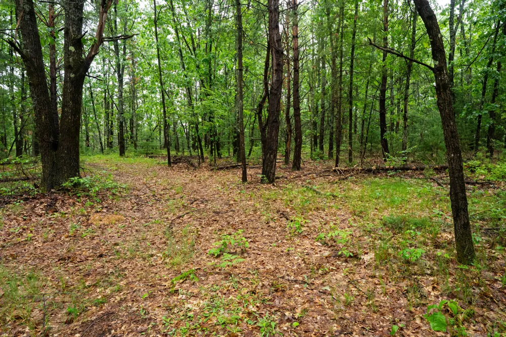 8 Centerline Road White Cloud, MI 49349