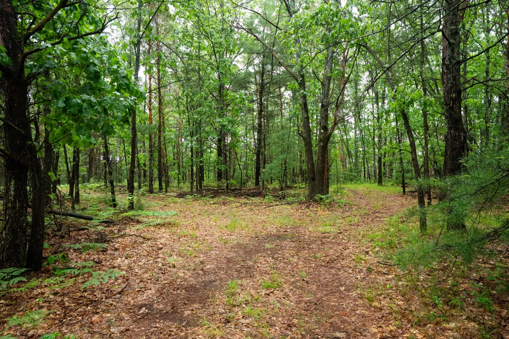 8 Centerline Road White Cloud, MI 49349