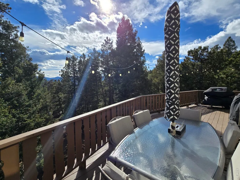 30382 Kings Vly E Conifer, CO 80433