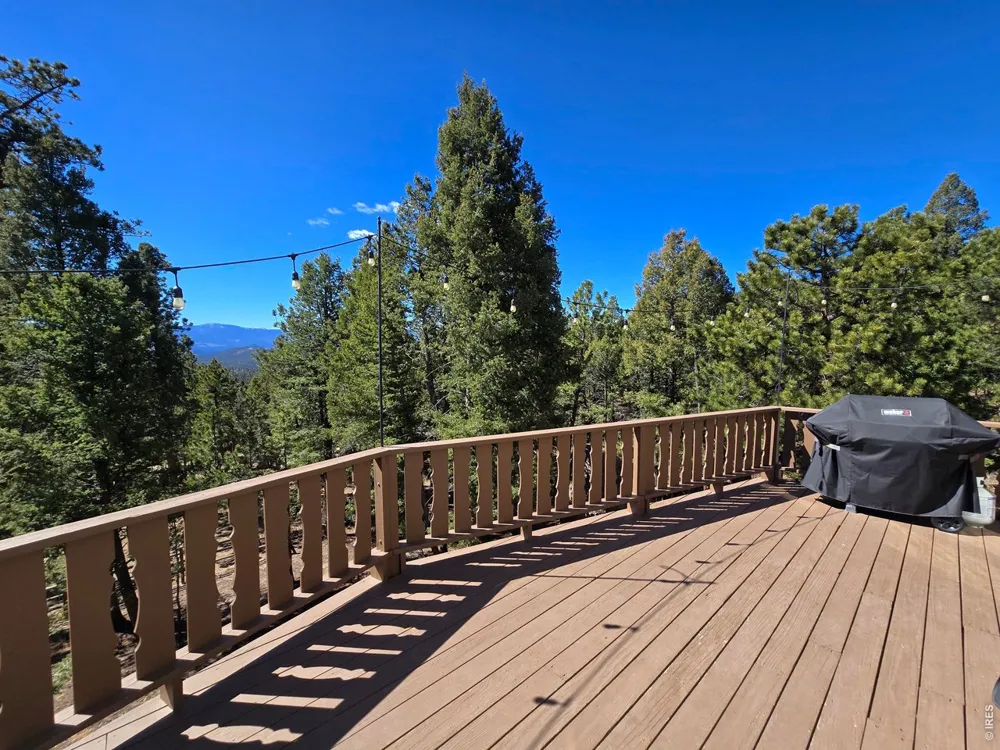 30382 Kings Vly E Conifer, CO 80433