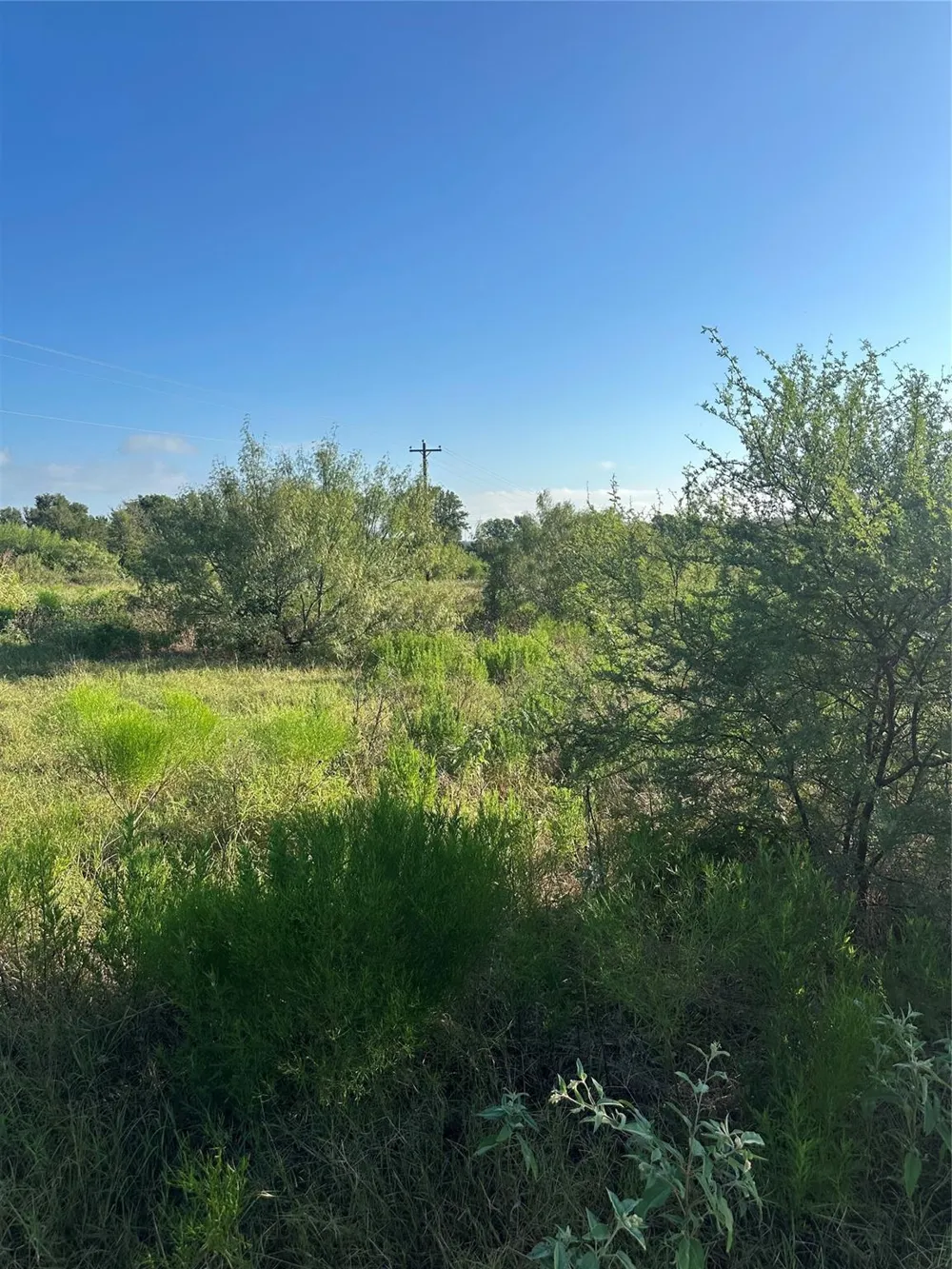 1507 County Road 428 Dime Box, TX 77853