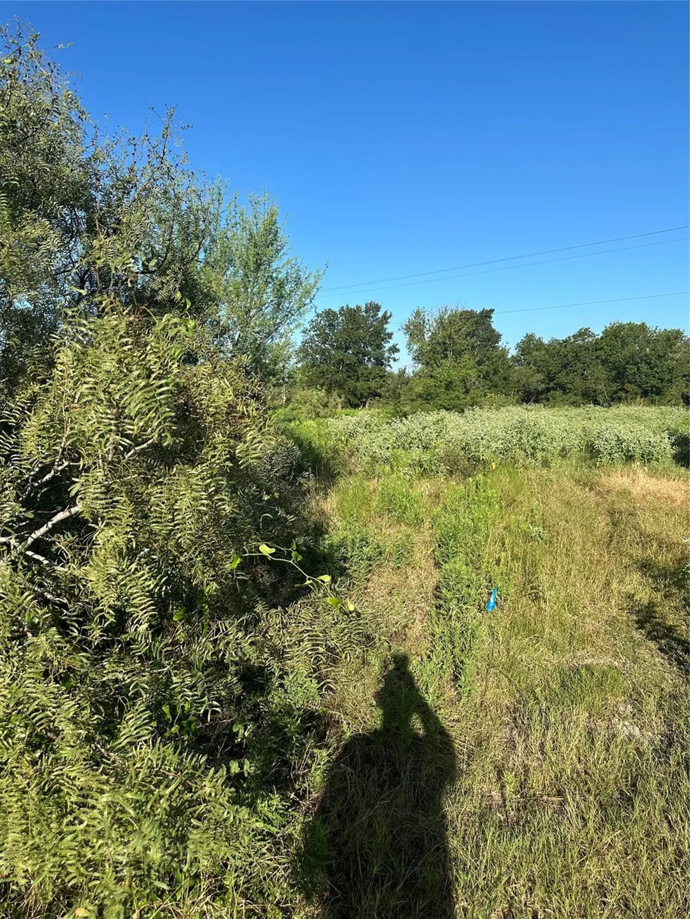 1507 County Road 428 Dime Box, TX 77853