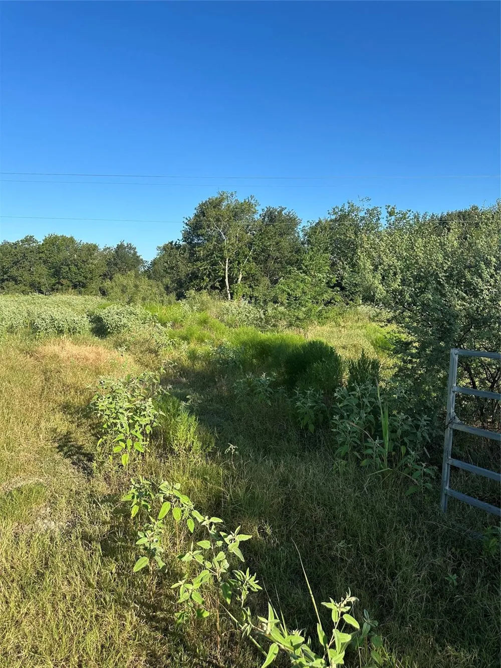 1507 County Road 428 Dime Box, TX 77853