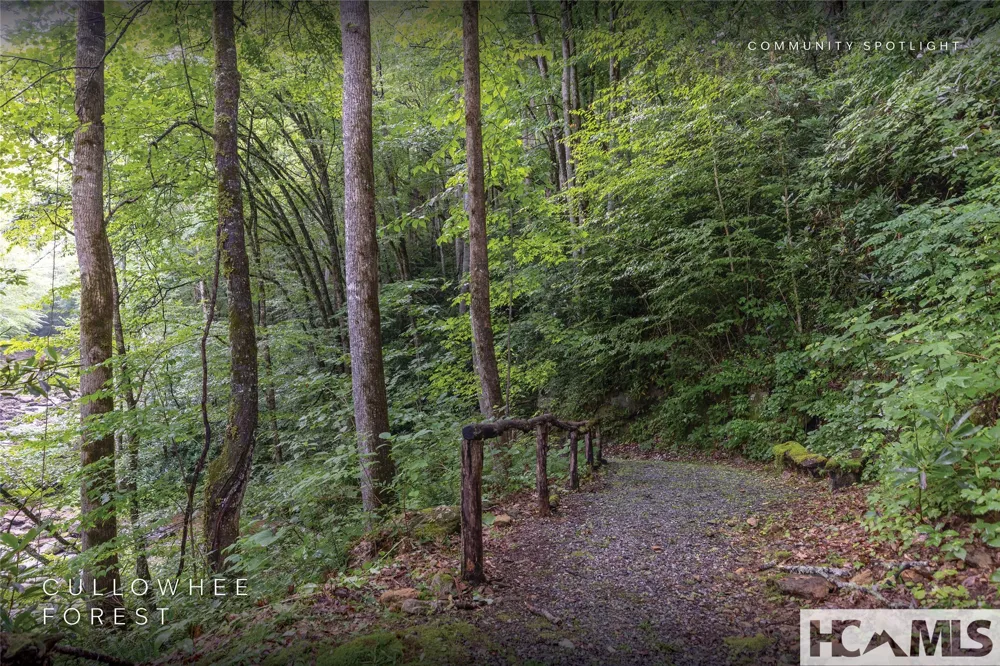 Lot 47 Cullowhee Forest Road Cullowhee, NC 28723