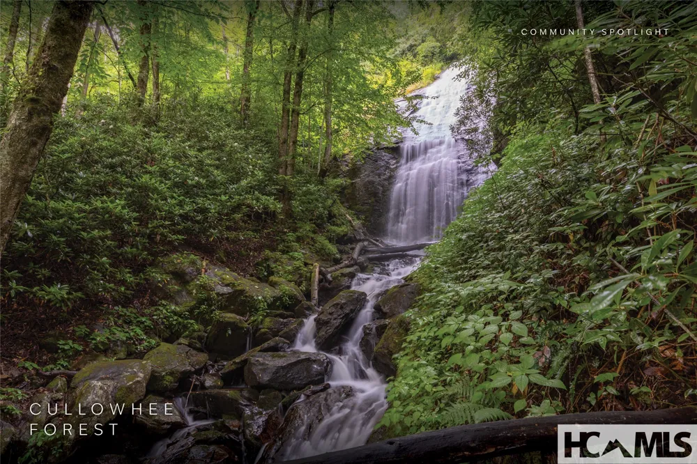 Lot 47 Cullowhee Forest Road Cullowhee, NC 28723