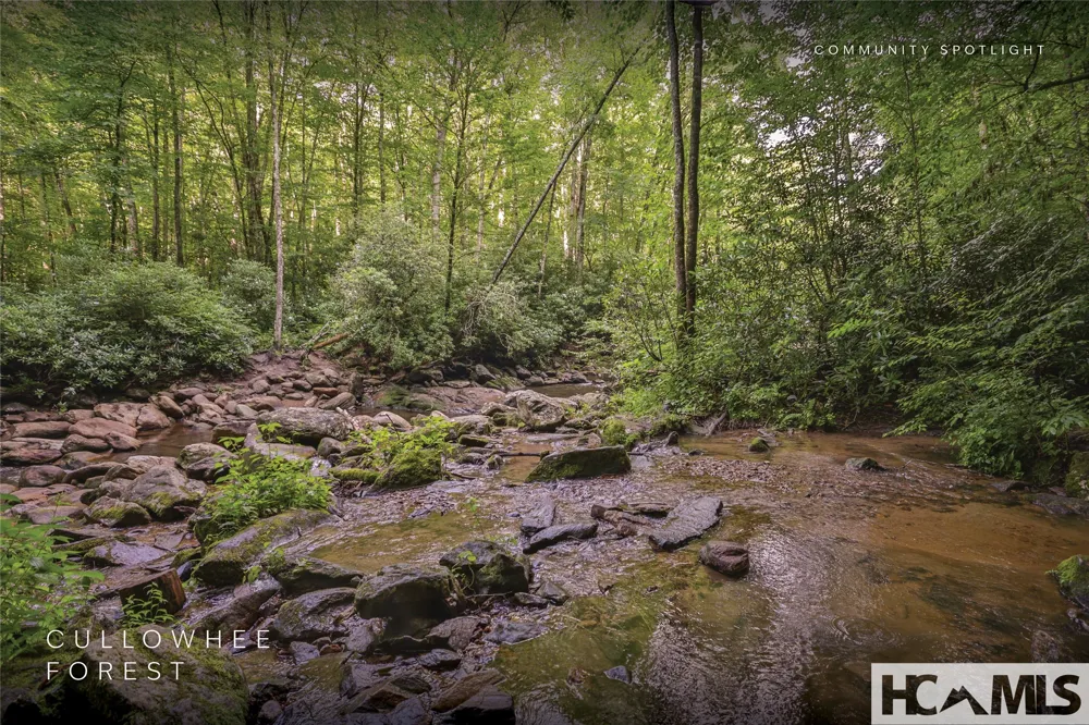 Lot 47 Cullowhee Forest Road Cullowhee, NC 28723