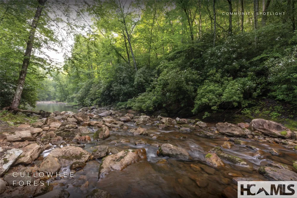 Lot 47 Cullowhee Forest Road Cullowhee, NC 28723
