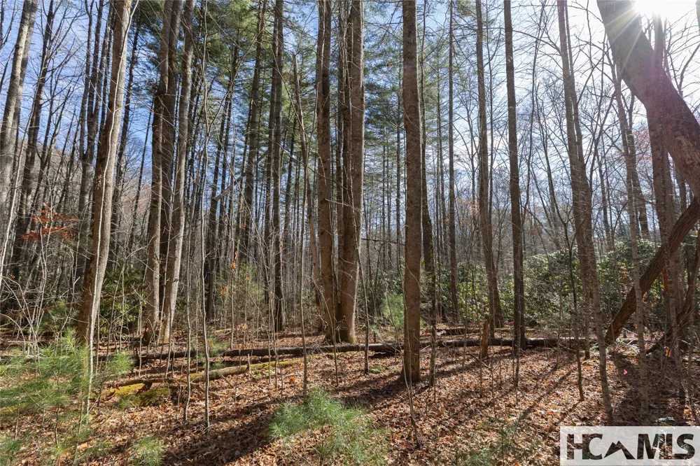 Lot 47 Cullowhee Forest Road Cullowhee, NC 28723