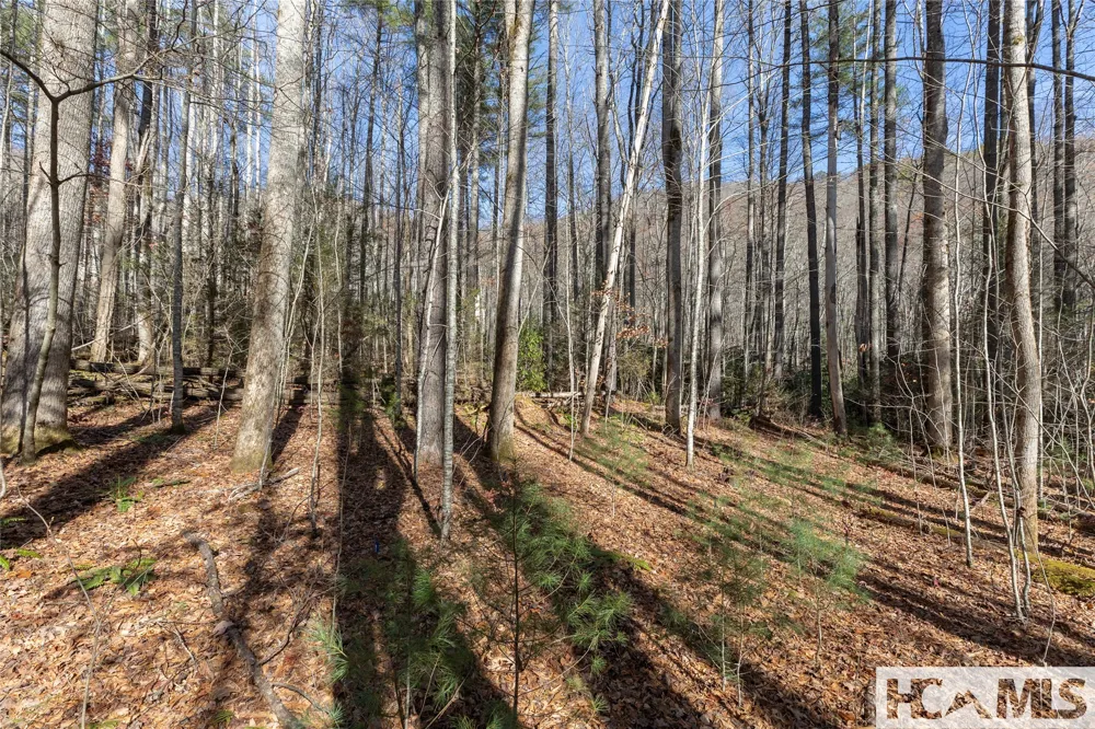 Lot 47 Cullowhee Forest Road Cullowhee, NC 28723