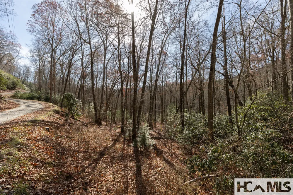Lot 47 Cullowhee Forest Road Cullowhee, NC 28723