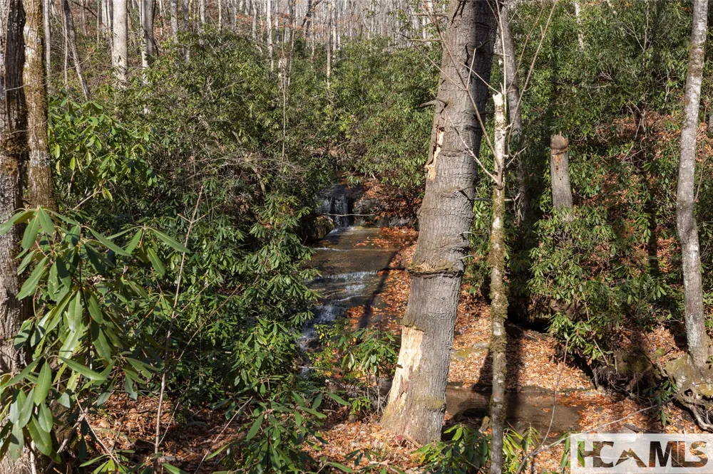 Lot 47 Cullowhee Forest Road Cullowhee, NC 28723