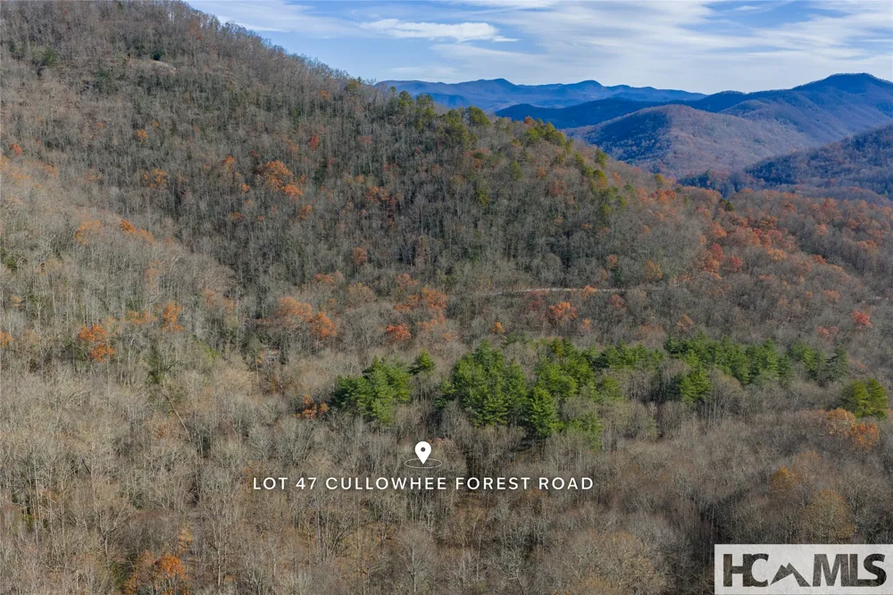 Lot 47 Cullowhee Forest Road Cullowhee, NC 28723