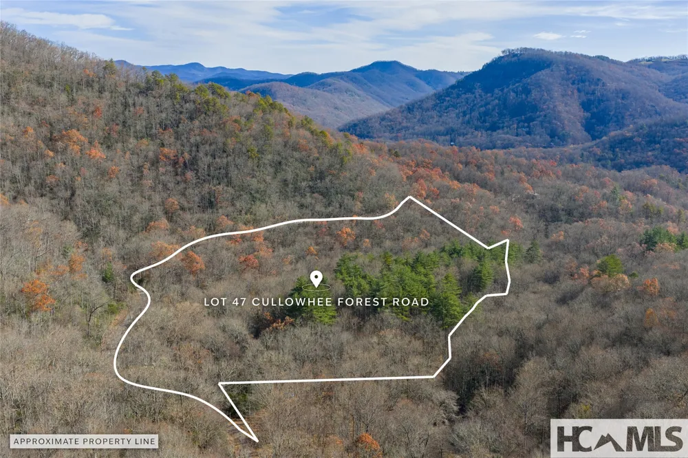 Lot 47 Cullowhee Forest Road Cullowhee, NC 28723