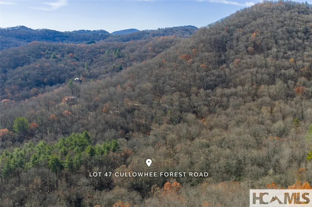 Lot 47 Cullowhee Forest Road Cullowhee, NC 28723