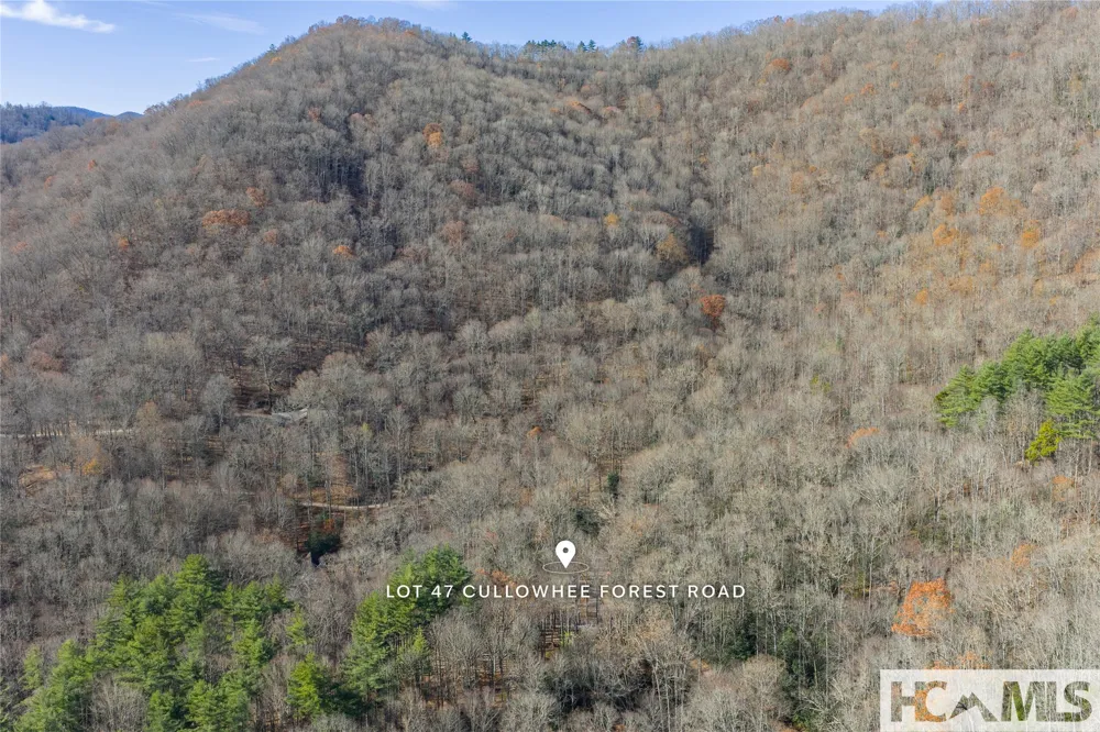 Lot 47 Cullowhee Forest Road Cullowhee, NC 28723