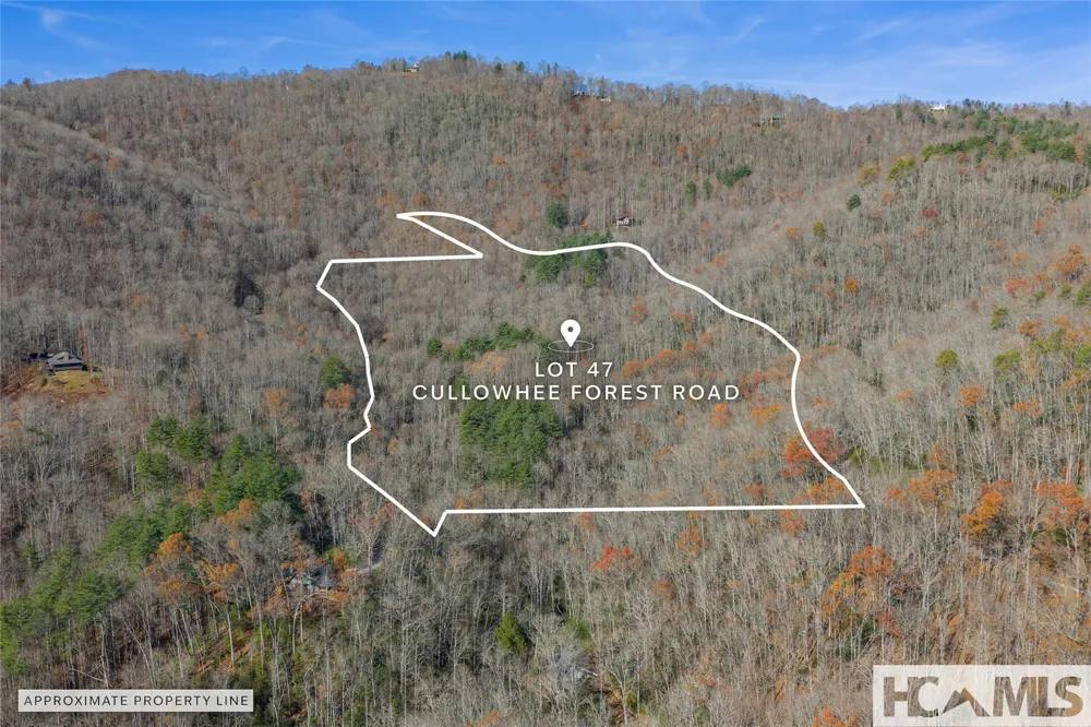 Lot 47 Cullowhee Forest Road Cullowhee, NC 28723