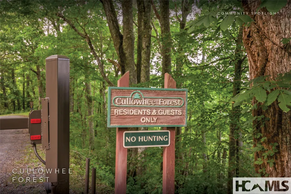 Lot 47 Cullowhee Forest Road Cullowhee, NC 28723