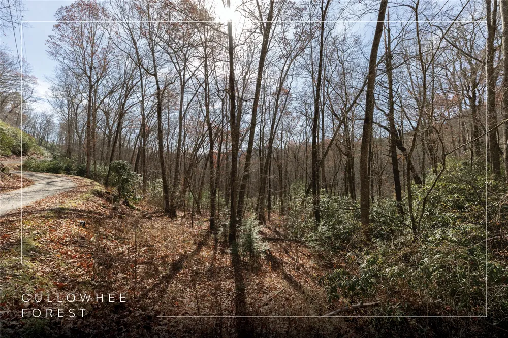 Lot 47 Cullowhee Forest Road Cullowhee, NC 28723
