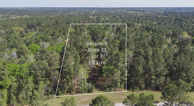 Bighorn Road Huntsville, TX 77340