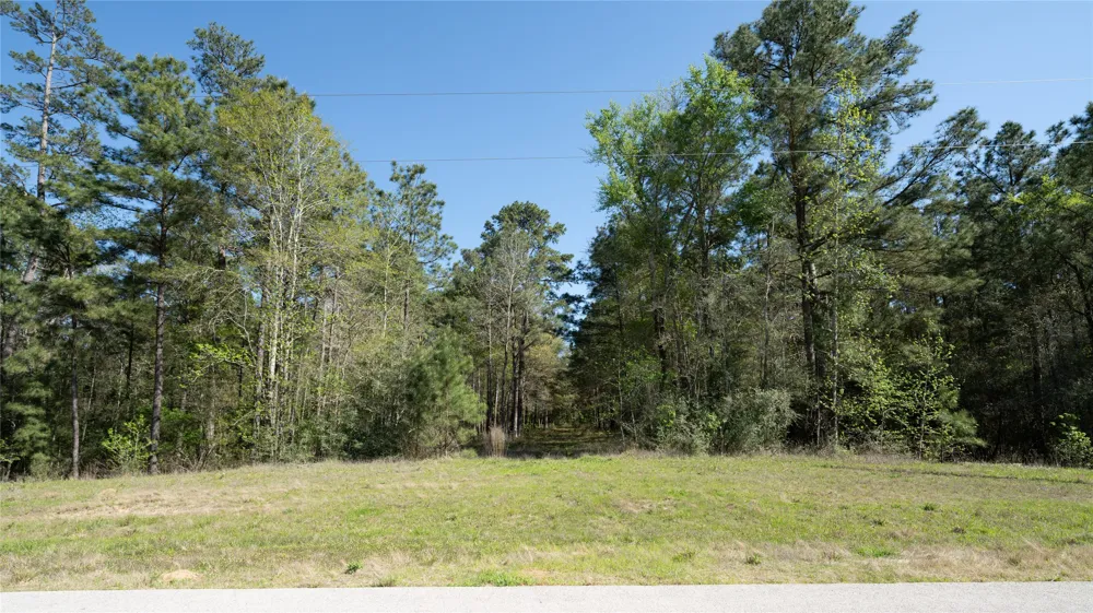 Bighorn Road Huntsville, TX 77340