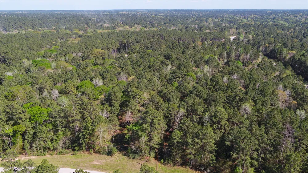Bighorn Road Huntsville, TX 77340
