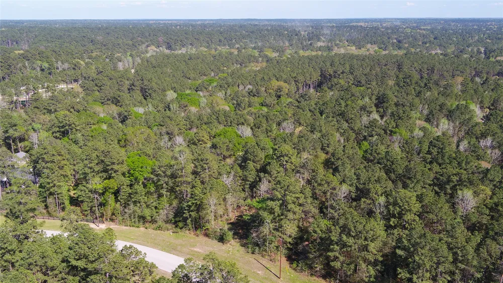 Bighorn Road Huntsville, TX 77340