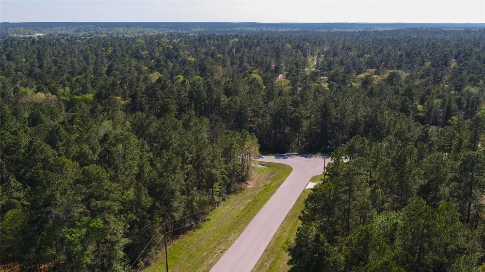 Bighorn Road Huntsville, TX 77340