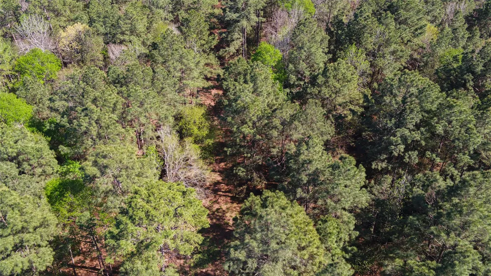 Bighorn Road Huntsville, TX 77340