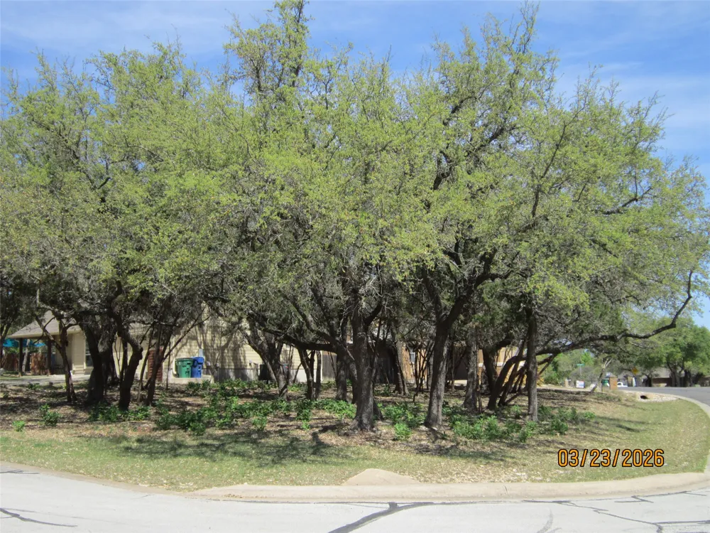 18804 Venture Drive Point Venture, TX 78645
