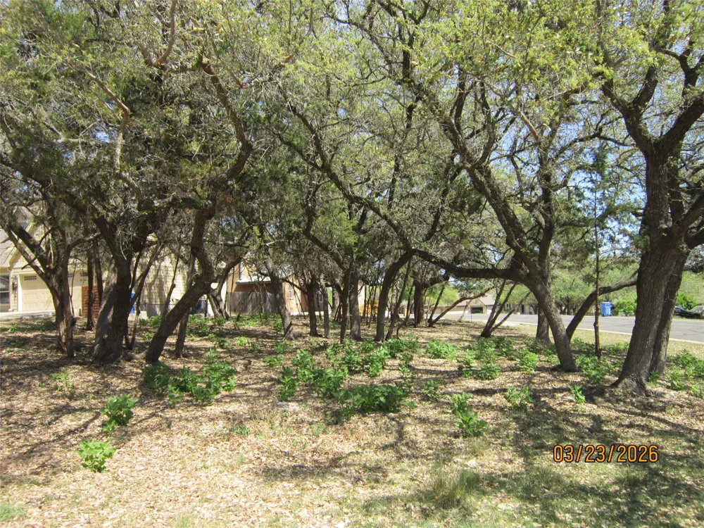 18804 Venture Drive Point Venture, TX 78645