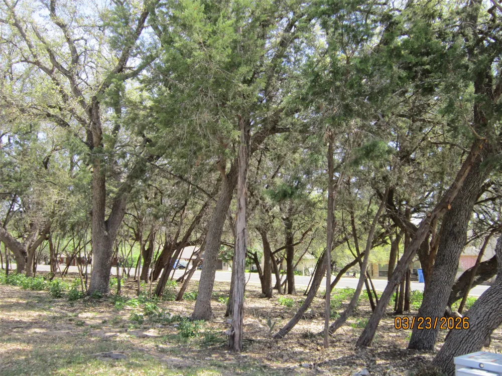 18804 Venture Drive Point Venture, TX 78645